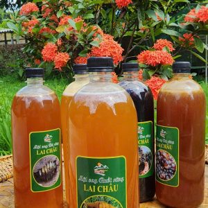 Mật ong ruồi rừng tự nhiên